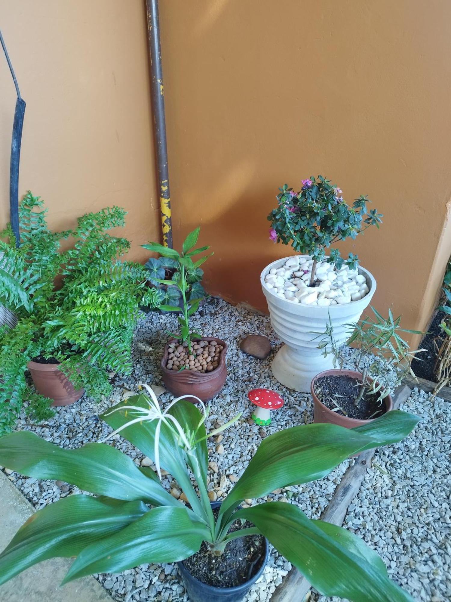 Pousada Cama & Cafe Hotell Paracatu Eksteriør bilde